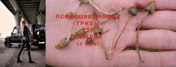 спиды Вязники